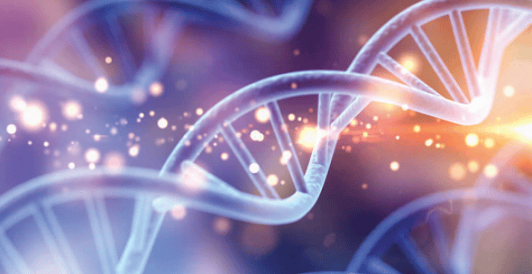 Peptide NAD Therapy